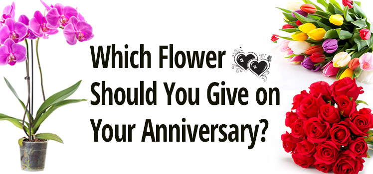 Flowers to Give on Anniversary